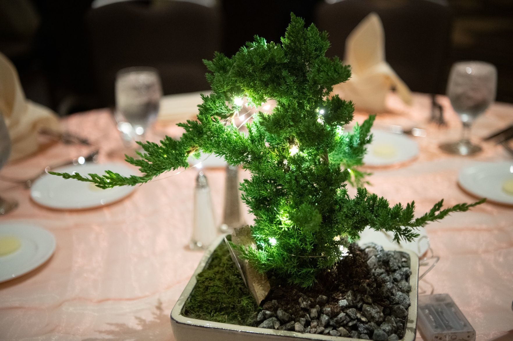 Fete du Feather Gala and Auction